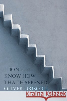 I Don't Know How That Happened Oliver Driscoll 9780648685364 Recent Work Press