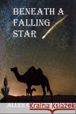 Beneath A Falling Star Allen E. Goldenthal 9780648808312 Val D'Or