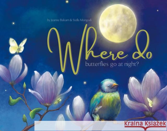 Where Do Butterflies Go at Night? Jeanne Balsam Stella Mongodi 9780648872368 Ethicool Books