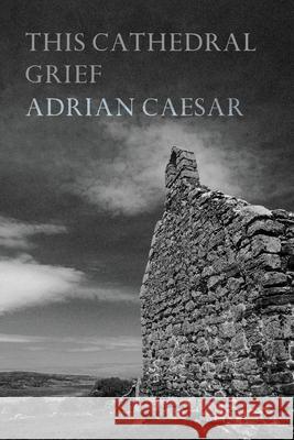 This Cathedral Grief Adrian Caesar 9780648936718 Recent Work Press