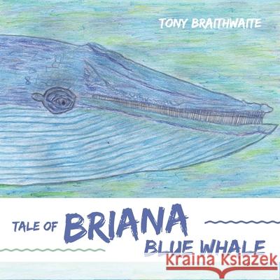 Tale of Briana Blue Whale Tony Braithwaite 9780648991243