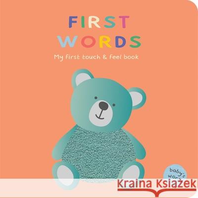 First Words: Touch & Feel Book: Board Book with Touch and Feel Elements Shelley Cox 9780655235811