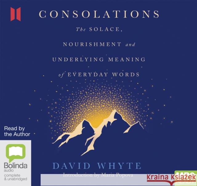 Consolations: The Solace, Nourishment and Underlying Meaning of Everyday Words David Whyte 9780655639633 Bolinda Publishing