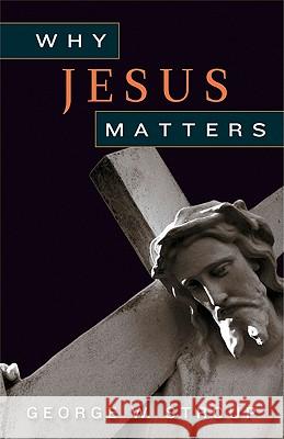 Why Jesus Matters George W. Stroup 9780664234614 Westminster John Knox Press