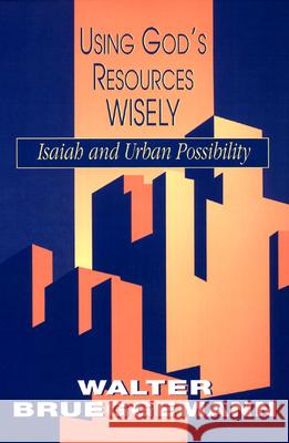 Using God's Resources Wisely: Isaiah and Urban Possibility Walter Brueggemann 9780664254605 Westminster/John Knox Press,U.S.