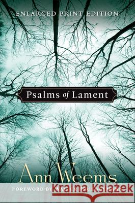 Psalms of Lament Ann Weems 9780664258313 Westminster/John Knox Press,U.S.