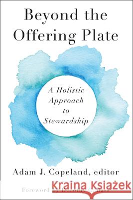 Beyond the Offering Plate: A Holistic Approach to Stewardship Copeland, Adam J. 9780664262358 Westminster John Knox Press