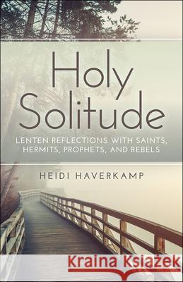 Holy Solitude Heidi Haverkamp 9780664263157 Westminster John Knox Press