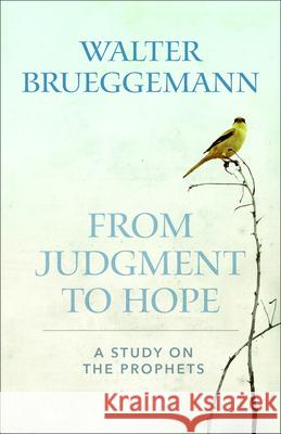 From Judgment to Hope: A Study on the Prophets Walter Brueggemann 9780664265519 Westminster John Knox Press