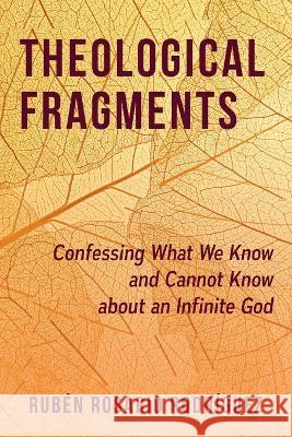 Theological Fragments: Confessing What We Know and Cannot Know about an Infinite God Rub?n Rosario Rodr?guez 9780664267476 Westminster John Knox Press