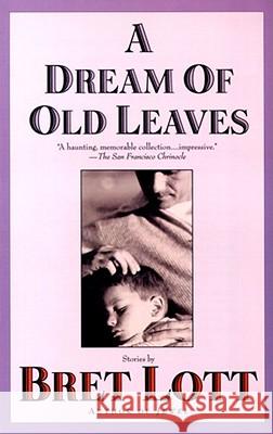 A Dream of Old Leaves Bret Lott 9780671038212 Washington Square Press