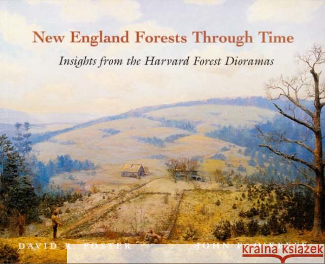 New England Forests Through Time : Insights from the Harvard Forest Dioramas David R. Foster 9780674003446 Harvard University Press