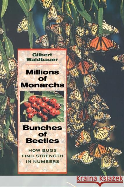 Millions of Monarchs, Bunches of Beetles: How Bugs Find Strength in Numbers Waldbauer, Gilbert 9780674006867 Harvard University Press