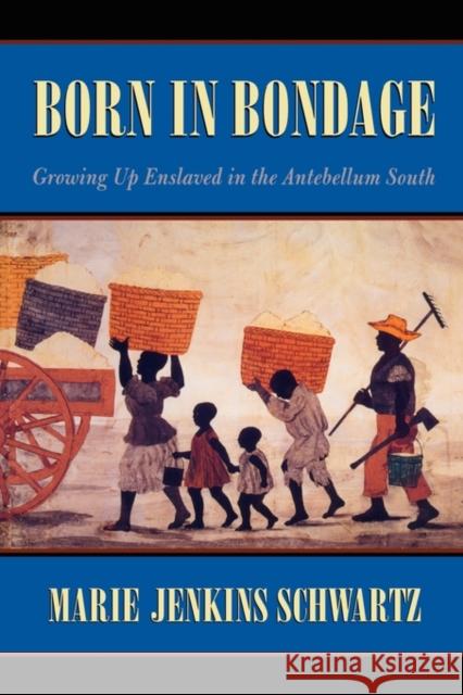 Born in Bondage: Growing Up Enslaved in the Antebellum South Schwartz, Marie Jenkins 9780674007208 Harvard University Press