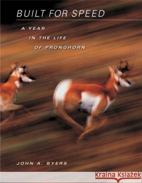 Built for Speed: A Year in the Life of Pronghorn Byers, John A. 9780674011427 Harvard University Press
