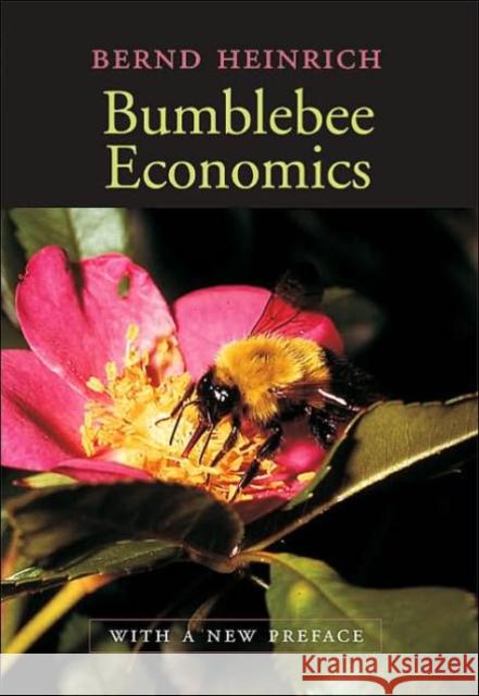 Bumblebee Economics: With a New Preface Heinrich, Bernd 9780674016392 Harvard University Press