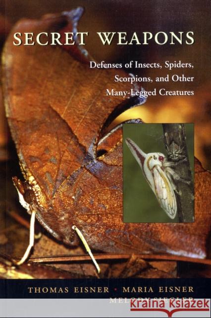 Secret Weapons: Defenses of Insects, Spiders, Scorpions, and Other Many-Legged Creatures Eisner, Thomas 9780674024038 Belknap Press
