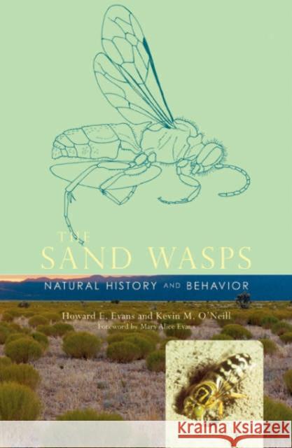 Sand Wasps: Natural History and Behavior Evans, Howard E. 9780674024625