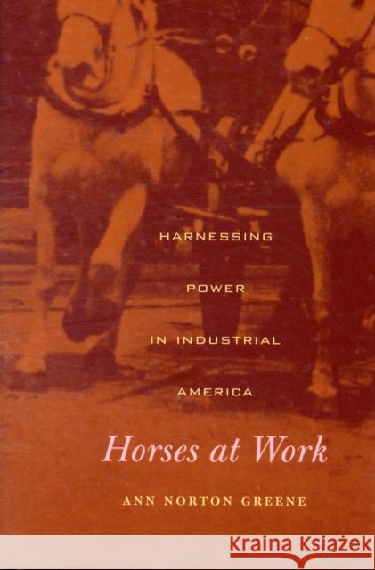 Horses at Work: Harnessing Power in Industrial America Greene, Ann Norton 9780674031296 Harvard University Press