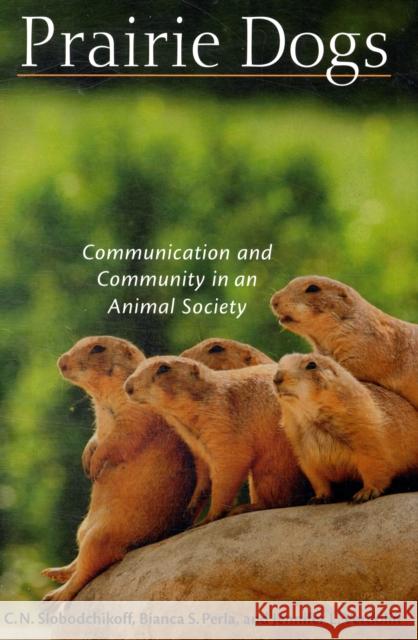 Prairie Dogs Slobodchikoff 9780674031814 Harvard University Press