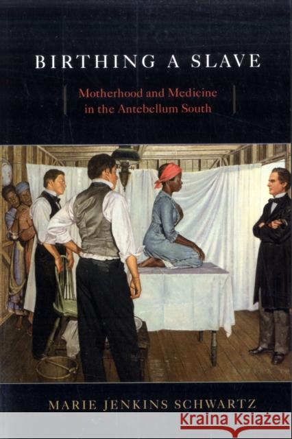 Birthing a Slave: Motherhood and Medicine in the Antebellum South Schwartz, Marie Jenkins 9780674034921 Harvard University Press