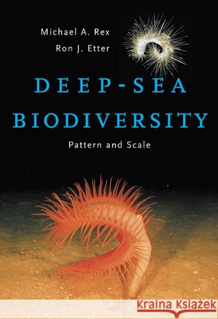 Deep-Sea Biodiversity: Pattern and Scale Rex, Michael A. 9780674036079 Harvard University Press