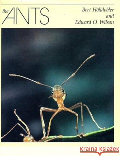 The Ants Bert Holldobler Bert Hvlldobler Edward Osborne Wilson 9780674040755 Belknap Press