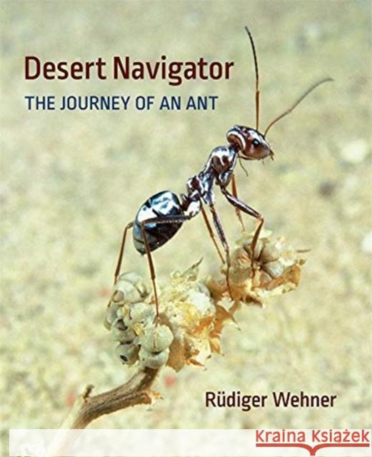 Desert Navigator: The Journey of an Ant Rudiger Wehner 9780674045880 Belknap Press: An Imprint of Harvard Universi