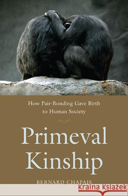 Primeval Kinship: How Pair-Bonding Gave Birth to Human Society Chapais, Bernard 9780674046412