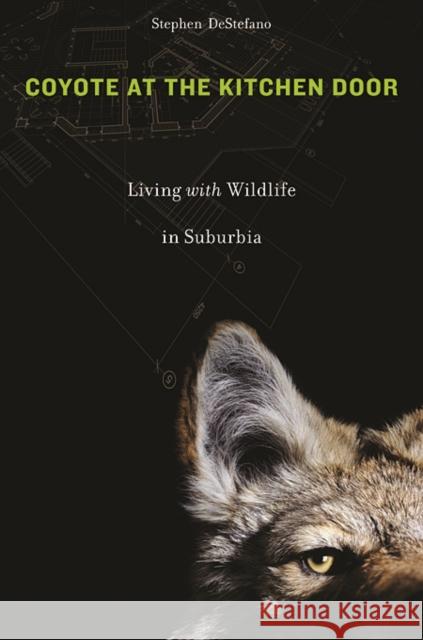 Coyote at the Kitchen Door: Living with Wildlife in Suburbia DeStefano, Stephen 9780674060180