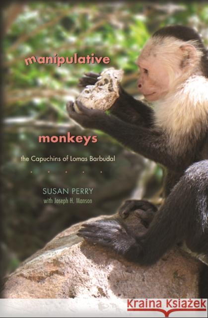 Manipulative Monkeys: The Capuchins of Lomas Barbudal Perry, Susan 9780674060388 Harvard University Press