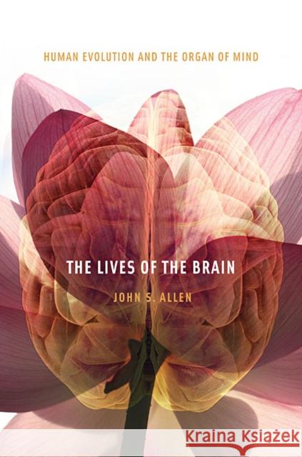 Lives of the Brain: Human Evolution and the Organ of Mind Allen, John S. 9780674064058 Belknap Press