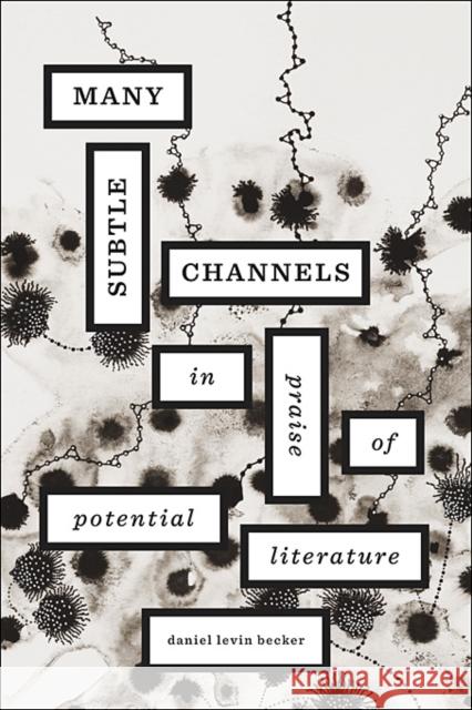 Many Subtle Channels: In Praise of Potential Literature Levin Becker, Daniel 9780674065772 0