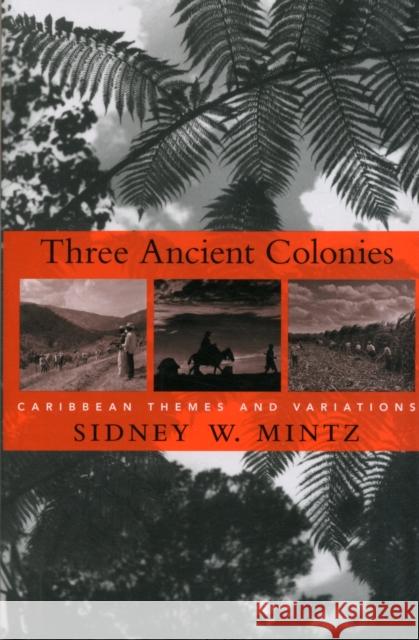 Three Ancient Colonies: Caribbean Themes and Variations Mintz, Sidney W. 9780674066212