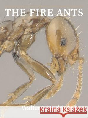 The Fire Ants Walter Tschinkel 9780674072404 0