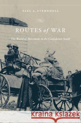 Routes of War: The World of Movement in the Confederate South Yael A. Sternhell 9780674088177 Harvard University Press