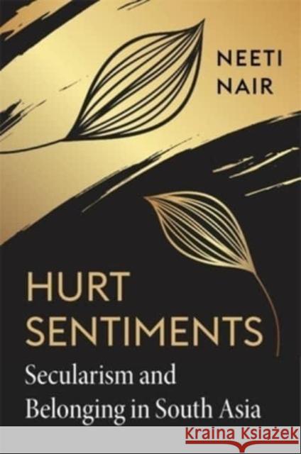 Hurt Sentiments: Secularism and Belonging in South Asia Nair, Neeti 9780674238275 Harvard University Press