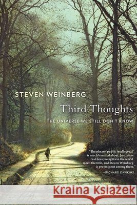 Third Thoughts: The Universe We Still Don’t Know Steven Weinberg 9780674241473