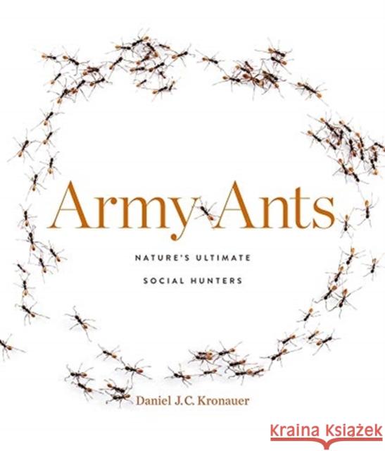 Army Ants: Nature's Ultimate Social Hunters Daniel J. C. Kronauer 9780674241558 Harvard University Press