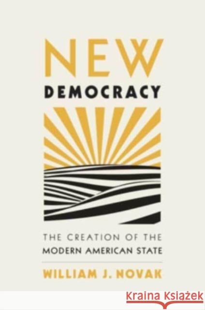 New Democracy: The Creation of the Modern American State William J. Novak 9780674260443