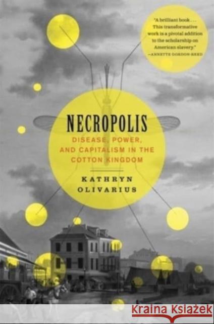 Necropolis: Disease, Power, and Capitalism in the Cotton Kingdom  9780674295551 Harvard University Press