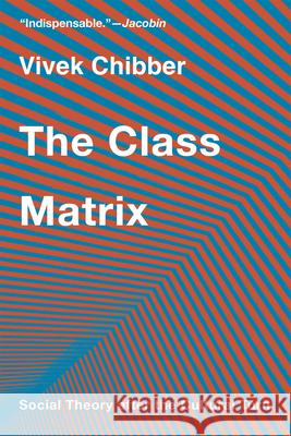 The Class Matrix: Social Theory after the Cultural Turn Vivek Chibber 9780674297296