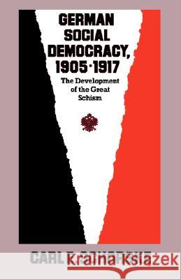 German Social Democracy, 1905-1917: The Development of the Great Schism Schorske, Carl E. 9780674351257 Harvard University Press