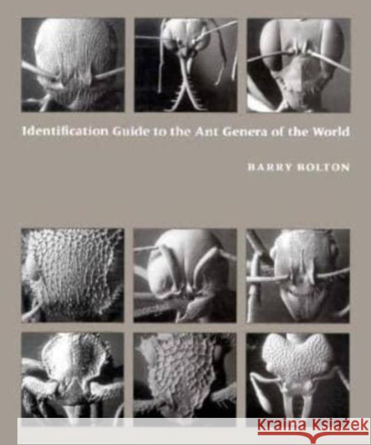Identification Guide to the Ant Genera of the World Barry Bolton 9780674442801