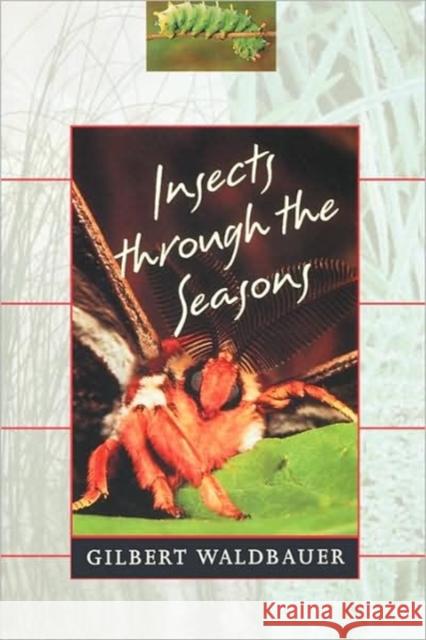 Insects Through the Seasons Waldbauer, Gilbert 9780674454897 Harvard University Press