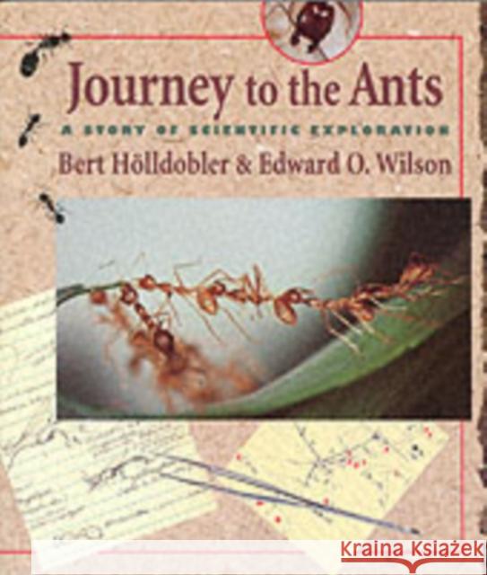 Journey to the Ants: A Story of Scientific Exploration Hölldobler, Bert 9780674485266 Harvard University Press