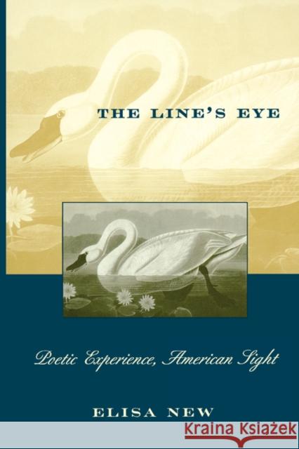 The Line's Eye: Poetic Experience, American Sight New, Elisa 9780674534636 Harvard University Press