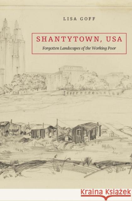 Shantytown, USA: Forgotten Landscapes of the Working Poor Goff, Lisa 9780674660458