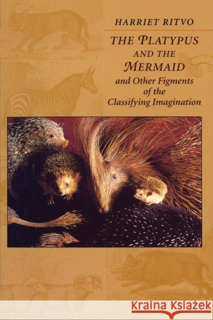 The Platypus and the Mermaid: And Other Figments of the Classifying Imagination Ritvo, Harriet 9780674673588