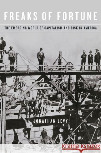 Freaks of Fortune: The Emerging World of Capitalism and Risk in America Levy, Jonathan 9780674736351 John Wiley & Sons